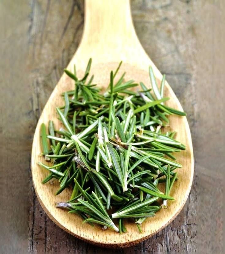Rosmarino - Spezie - Schiaccia & Mangia  - fruttasana.com